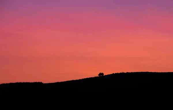 Silhouette Albero Una Collina Tramonto Colori Arancio Viola Colori Caldi — Foto Stock