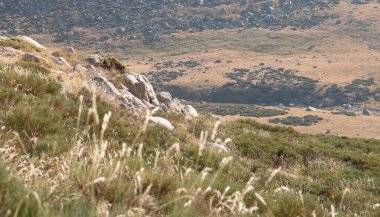 Güneşli bir yaz gününde dağ otlağı. Sierra de Gredos, Avila, İspanya 'da dağ yamacı ve kayalık yamaçlar oluşturuldu..