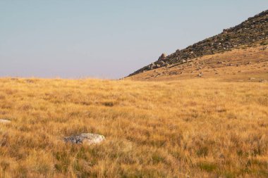 Güneşli bir yaz gününde dağ otlağı. Sierra de Gredos, Avila, İspanya 'da granit oluşumu. Sarımsı bir çayırın üzerinde kayalık bir yamaç.