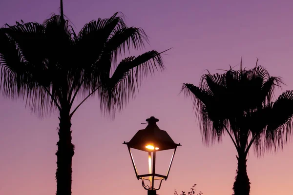 Silhouette of a palm tree and a street lamp at sunset. A background of warm colors against which the dark silhouettes stand out in Sanlucar de Guadiana, Andalusia, Spain.