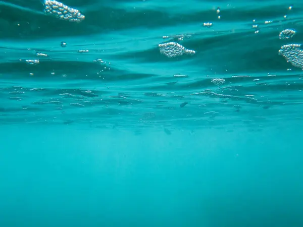 Deep blue bubbles and fish under the water surface. Photograph of the water surface in the Mediterranean Sea taken from below.