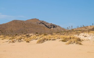 Los Genoveses sahilindeki kum tepeleri ve tepeler, San Jose, Almeria, İspanya. Cabo de Gata doğal parkındaki Akdeniz kıyılarındaki kıyı ve çöl manzarası..