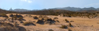Kurak yaz mevsiminde bitkilerle dolu çöl manzarası. San Jose, Almeria, İspanya 'da Los Genoveses plajının yanındaki kum tepeleri. Cabo de Gata Doğal Parkı.