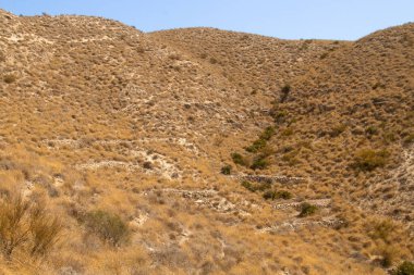 Enmedio Koyu 'nun yanındaki tepelerde teraslı topraklar. Yüksek sıcaklıklara dayanıklı, sarp, çöl arazisi. Cabo de Gata, Almerya, İspanya.