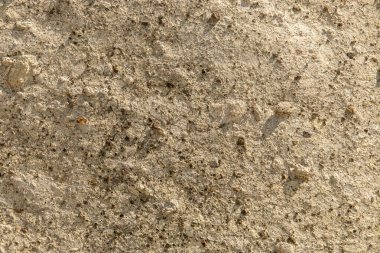 Deniz sıçramalarıyla aşınmış kaya duvarının detayları. Agua Amarga, Almerya, İspanya 'daki Enmedio Koyu' nun kayalıklarından.