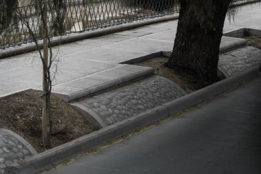 Parkta kaldırım taşları ve ağaçlarla