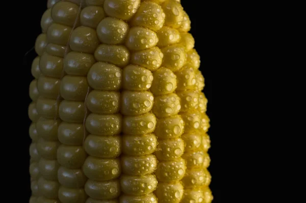 Savor Sweetness Summer Fresh Corn Cob — Stock Photo, Image