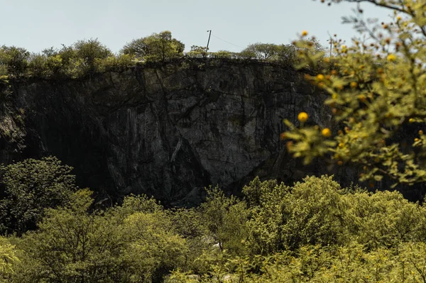 岩の山と木の美しい景色 — ストック写真