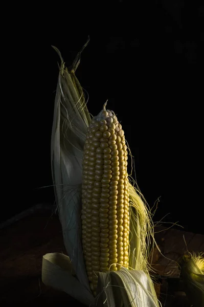 Спаситель Солодкість Літа Свіжою Кукурудзою Коб — стокове фото