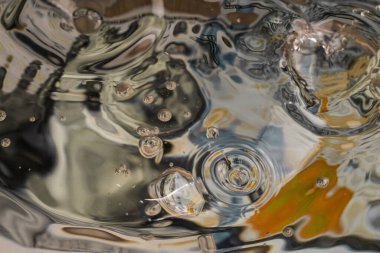 Sualtı Doları: Varlıklı Sualtı Sahnesi