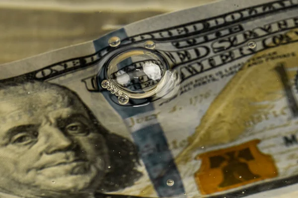 Βυθισμένα Δολάρια Μια Πλούσια Υποβρύχια Σκηνή — Φωτογραφία Αρχείου