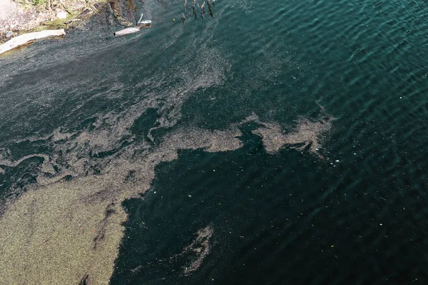 Polluted River in Cordoba: Algae Overrun and Environmental Conce