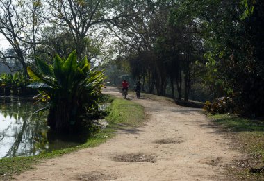 Roberto Burle Marx Belediye Parkı, Şehir Parkı, Sao Jose dos Campos, Sao Paulo, Brezilya