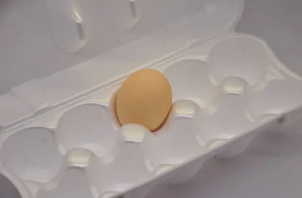 egg tray with one chicken egg. ran out of chicken eggs. dark photo.