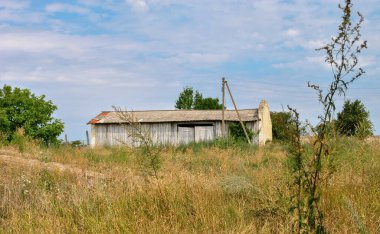 Terk edilmiş eski bir ahır. Uzun otlarla kaplı bir çiftlik evinde. terk edilmiş bina.