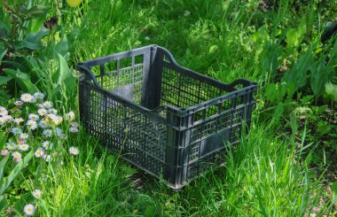 Bahçedeki yeşil çimlerin üzerinde boş plastik kutu