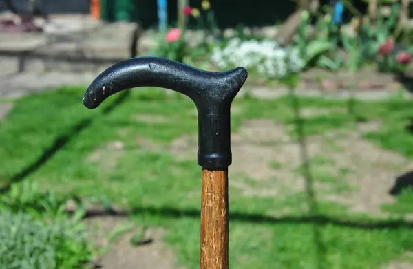 Yürüyen eski bir bastonun sapı yakın plan bulanıklığı