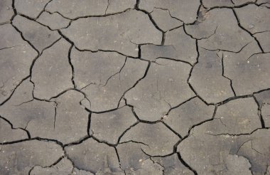 Kurumuş çatlamış toprak dokusu. çatlak kuru toprak arkaplanı