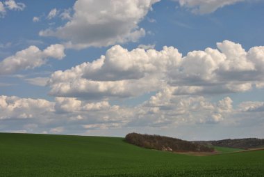 Yeşil tarlalı güzel manzara ve güzel beyaz bulutlu gökyüzü. Tarlaları olan manzara