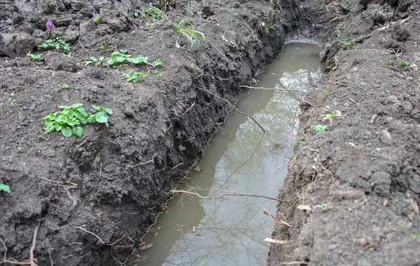 Kirli suyla dolu bir hendek.
