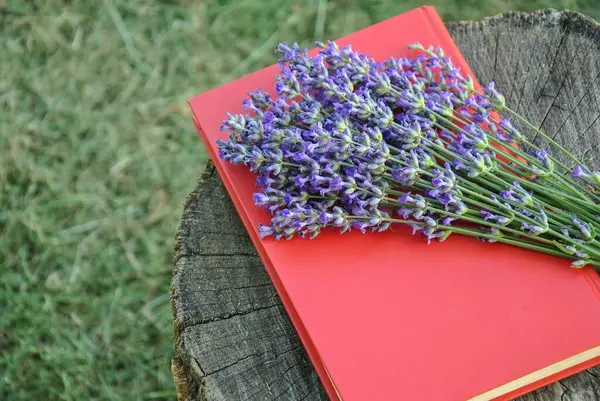 Bir buket taze lavanta ve bahçedeki tahta bir kütük üzerine bir kitap. Romantik ruh hali