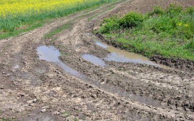 Çamur ve su birikintileriyle kaplı toprak yol. Yoldaki tekerlek izleri