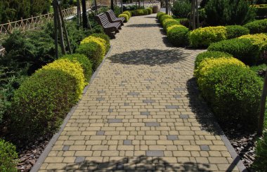 Manzaralı bir parktaki banklarla yürüme yolu