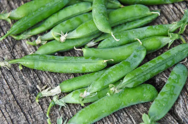 Ahşap arka planda taze bezelye kabukları. seçici odak