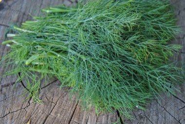 ahşap arka plan üzerinde taze dereotu demet