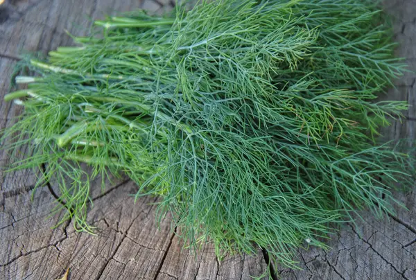 ahşap arka plan üzerinde taze dereotu demet