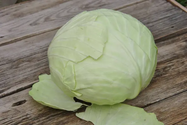 ahşap bir masa üzerinde taze lahana başkanı