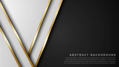 Zarif soyut arka plan. Gerçekçi lüks kağıt 3 boyutlu modern konsepti kesiyor. Tasarım için vektör illüstrasyonu.