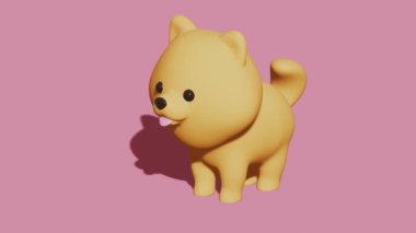 Cute Pomeranian dog on a pink background. Minimal modern motion design. Abstract animation. 