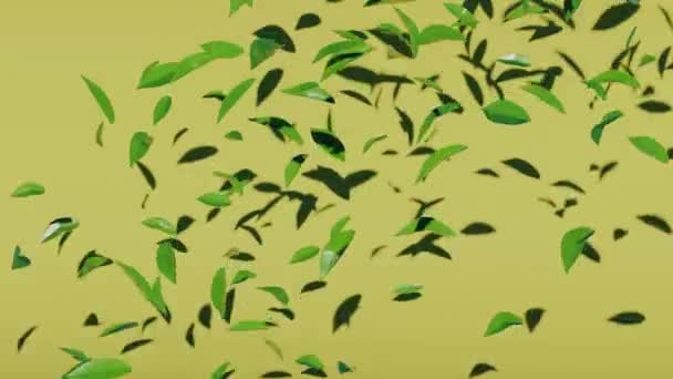 Green Tea Leaves Fall Fly Yellow Background Minimal Modern Motion — Vídeo de stock