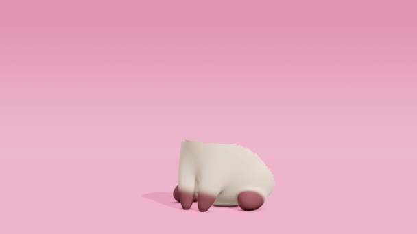 Carino Gatto Siamese Sfondo Rosa Design Minimale Del Movimento Moderno — Video Stock
