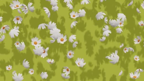 Kamomill Blommor Faller Grön Bakgrund Minimal Modern Rörelsedesign Abstrakt Animation — Stockvideo