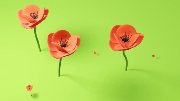 Field Red Blossoming Poppies Minimal Modern Motion Design Abstract Animation — Stock Video
