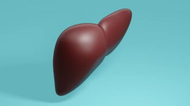 Mavi arka planda insan karaciğeri. Minimum modern kusursuz hareket tasarımı. Soyut döngü canlandırması