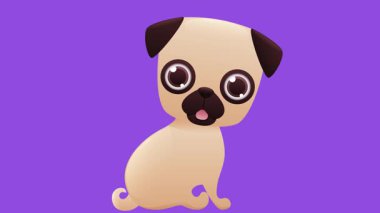 Pug sevimli çizgi film karakteri. Minimum modern kusursuz hareket tasarımı. Soyut döngü canlandırması