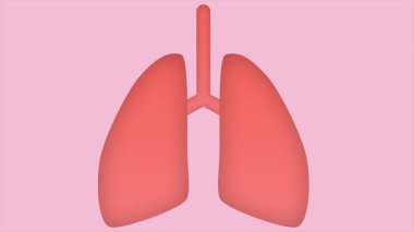 İnsan ciğerlerinin işi. Minimum modern kusursuz hareket tasarımı. Canlandırma 2D