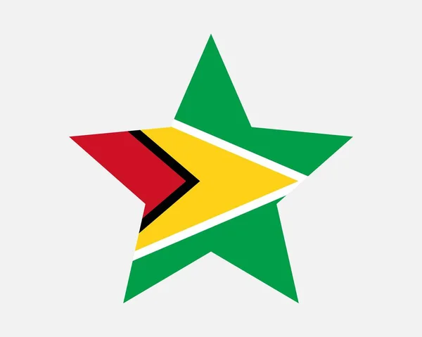 Bandeira Estelar Guiana Bandeira Forma Estrela Guianesa País Bandeira Nacional —  Vetores de Stock