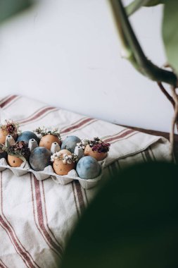 Asgari Paskalya kutlaması konsepti, komik ifadeli boyalı tavuk yumurtaları. Paskalya yumurtaları yumurta kutusuna boyanmış ışık arkaplanı üzerinde fotokopi alanı olan.