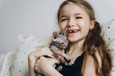 Bir çocuk ve yeni evcil hayvanı. Kılsız küçük bir sfenks kedisi sunulan 6 yaşındaki mutlu bir kız.