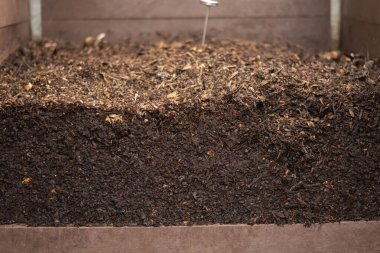 Kasabanın apartmanlarındaki organik atıkları geri dönüştürmek için ortak bir alana yerleştirilmiş ortak bir kompozitoda üretilen bahçede kullanılmaya hazır olgun gübre. Geri dönüşüm ve sürdürülebilirlik kavramı
