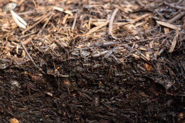 Olgunlaşmamış gübre, şehirdeki apartmanlardan gelen organik atıkları geri dönüştürmek için ortak bir alana yerleştirilmiş bir kompozitle yönetiliyordu. Geri dönüşüm ve sürdürülebilirlik kavramı