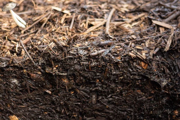 Kompos Yang Belum Matang Dikelola Dalam Komunitas Composter Ditempatkan Daerah — Stok Foto