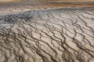Yellowstone 'daki Grand Prismatic Spring Overlook' da jeotermal aktivite tarafından oluşturulan büyüleyici ve karmaşık örüntülerin yakından bir ayrıntısı.