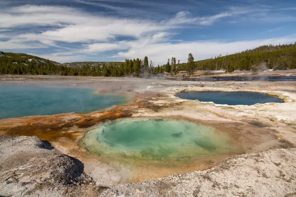 Vibrant hot spring with steaming water, surrounded by colorful mineral deposits in Yellowstone National Park
