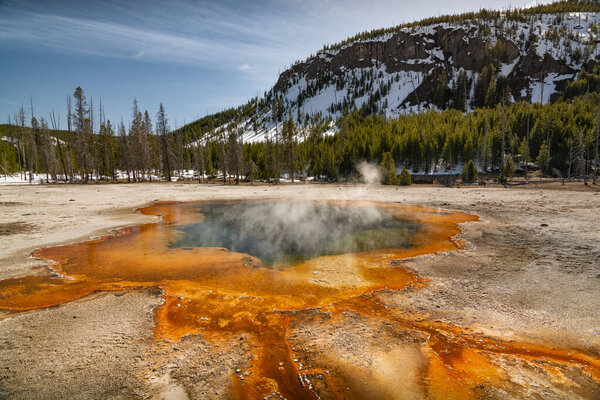 Vibrant hot spring with steaming water, surrounded by colorful mineral deposits in Yellowstone National Park