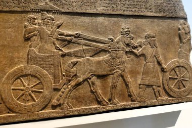 Britanya Müzesi 'ndeki Alabaster duvar paneli Kral Tiglath Pileser III' ü (saltanatı MÖ 745-MÖ 727) savaş arabasında resmediyor.